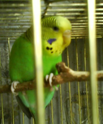 DSC00141.jpg
