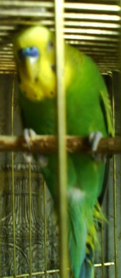 DSC00145.jpg