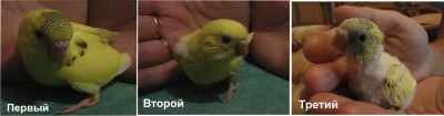 все2.jpg