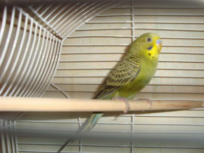 DSC01750.jpg