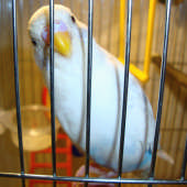 Resized DSC00042_hf.jpg