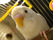 Resized DSC00026.jpg
