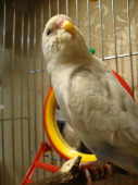 Resized DSC00029.jpg