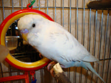 Resized DSC00036.jpg