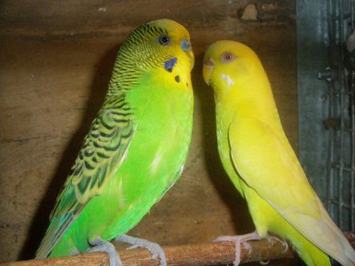 x_0350e291.jpg