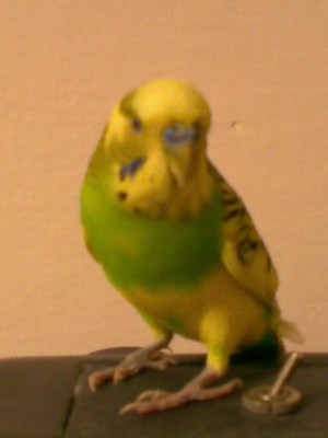 Image004.jpg