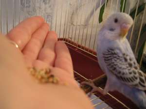 вэнди 033_thumb.jpg