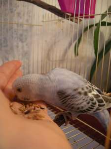 вэнди 038_thumb.jpg