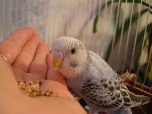 вэнди 035_thumb.jpg