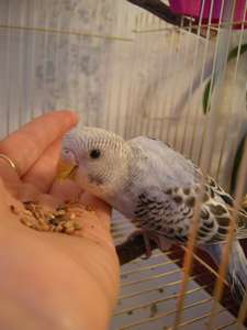 вэнди 037_thumb.jpg