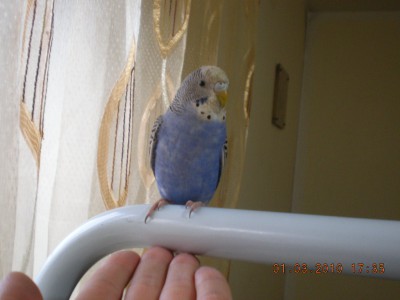 DSCN2043.JPG