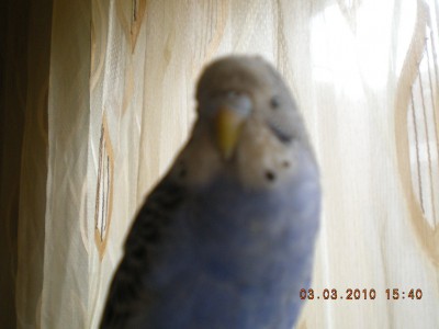 DSCN0019.JPG