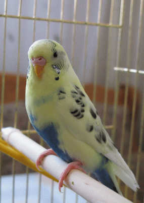 IMG_5159_12.gif