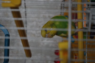 05.JPG