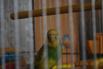 06.JPG
