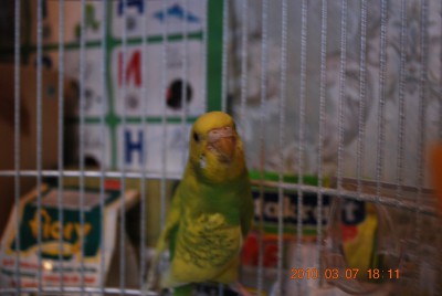 07.JPG