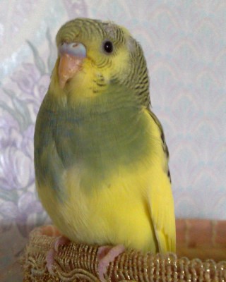 08032010050-001.jpg