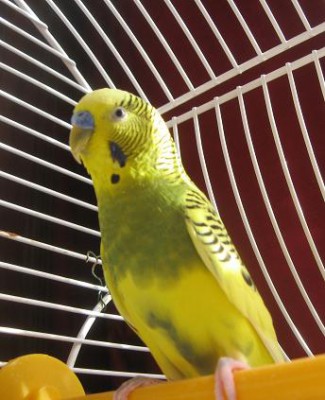 IMG_0873.jpg