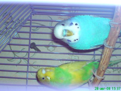 DSC00030.JPG