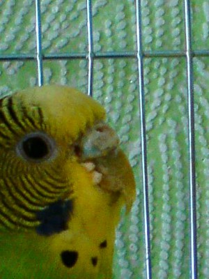 DSC00210.JPG