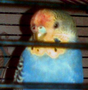 12032010(004999999).jpg