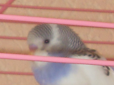 SDC10203.JPG