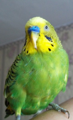 100_6156.JPG