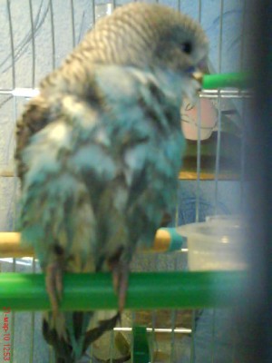 DSC00908.JPG