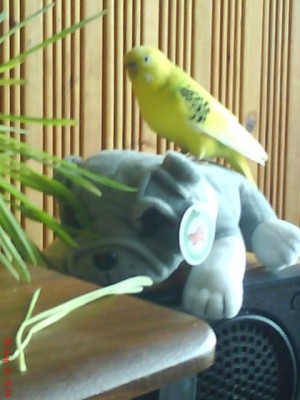 DSC00881.JPG