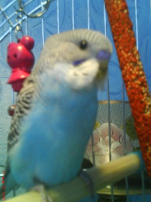 DSC00901.JPG