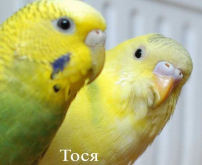 DSC_7725.jpg
