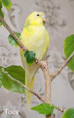 DSC_7733.jpg