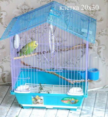 DSC_7771.jpg