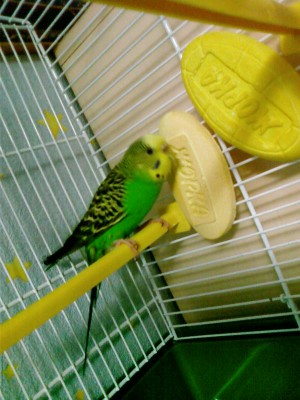 SP_A5729.jpg