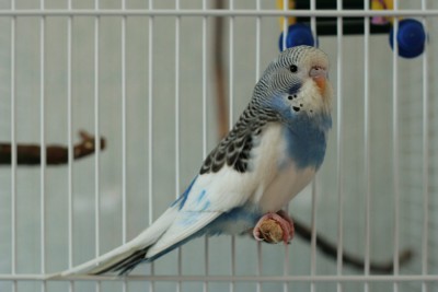 IMG_9061.jpg