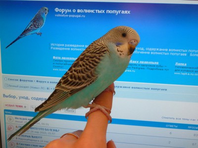 P1020738.JPG