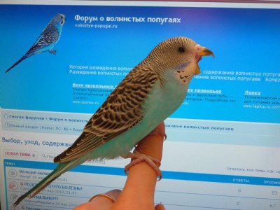 P1020736.JPG