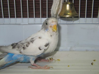 IMG_7855.jpg