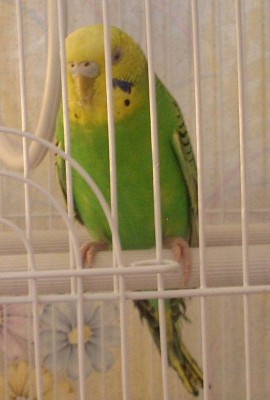 DSCN5652.jpg