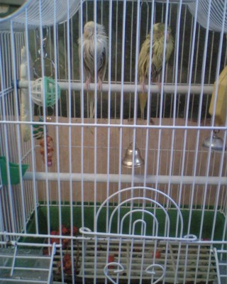 PHOT0042.JPG