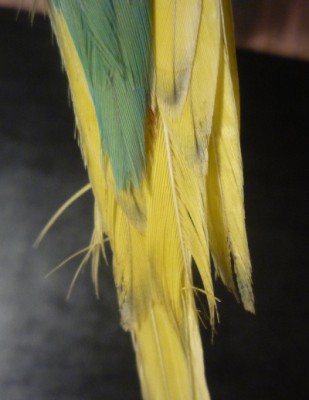 s267962.jpg