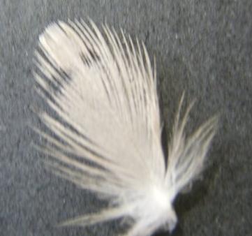 9821a09d65b8.jpg