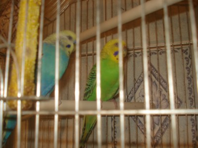DSC07923.JPG