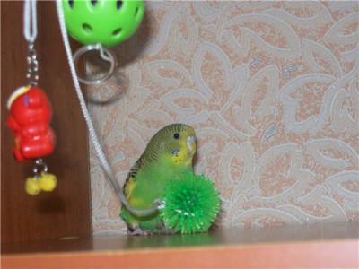a4d828cbf604.jpg