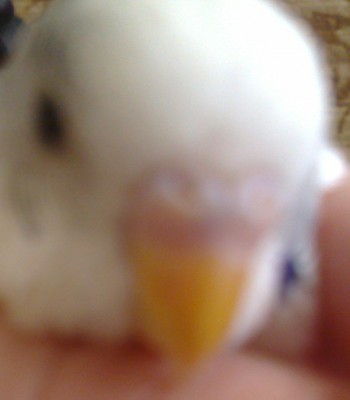 11042010443-001.jpg