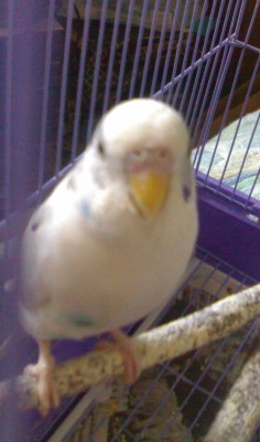 01.jpg