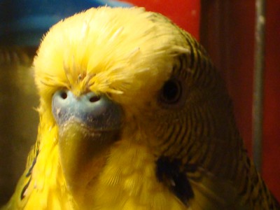 DSC02017.JPG