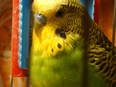 DSC02018.JPG
