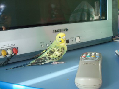 6 месяцев б.jpg