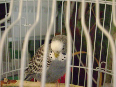 DSC00504.JPG